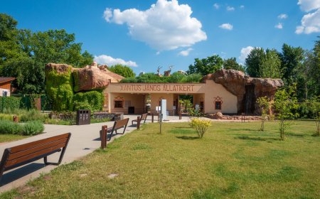 Győri Állatkert: Természetközeli Élmények Kicsiknek és Nagyoknak