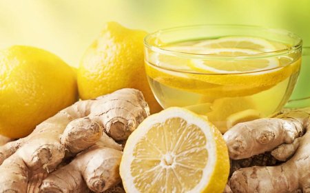 Természetes Immunerősítők: Az Egészség Megőrzésének Kulcsa